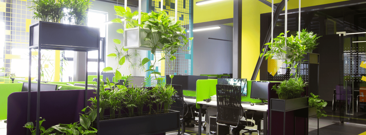 Czyste i zadbane biuro z akcesoriami do utrzymania higieny – klucz do zdrowego miejsca pracy